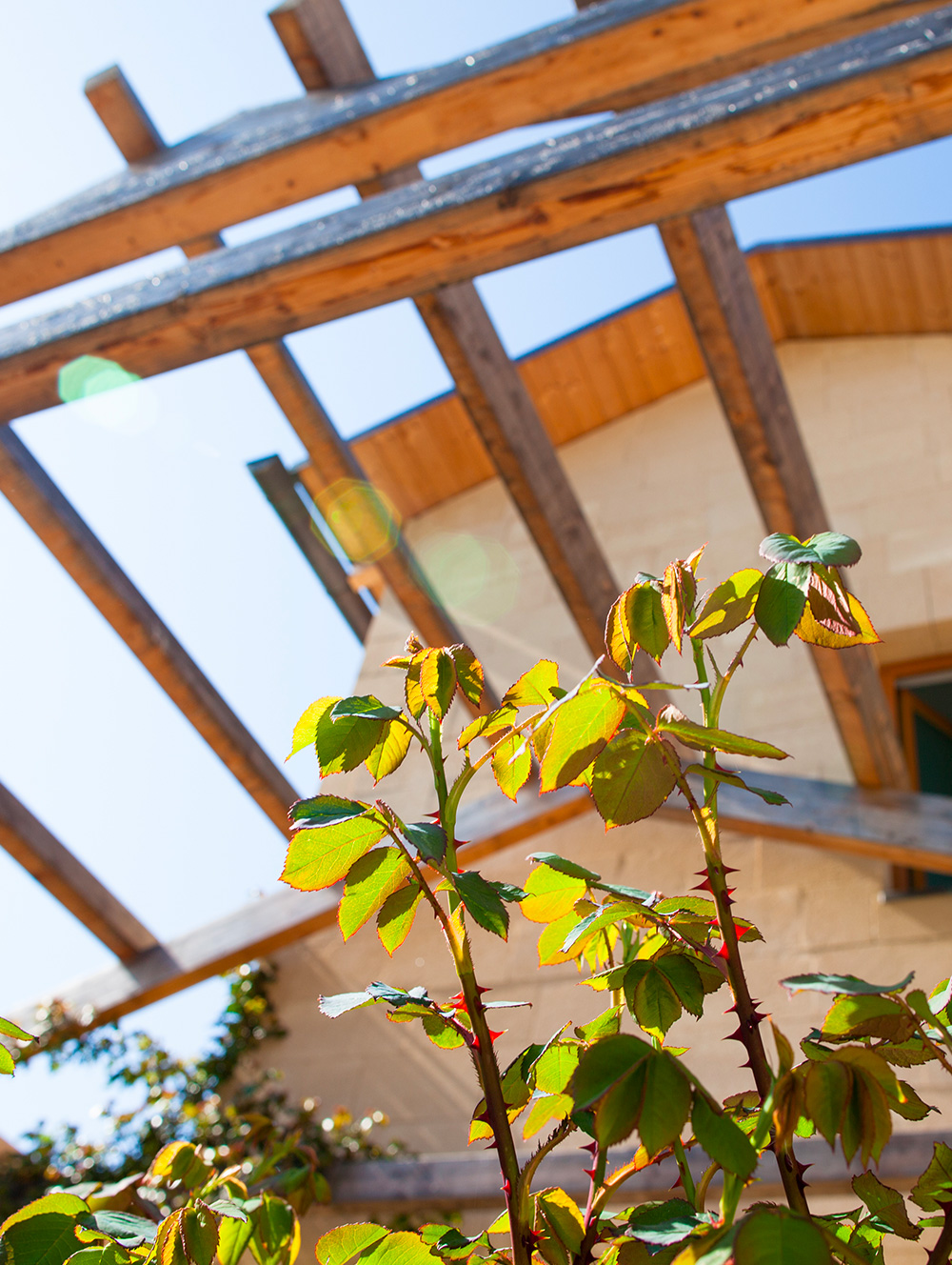 case-in-legno-sostenibilita-natura-kager case-in-legno-uniche-su-misura-kager-italia